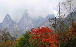 慈溪周边游成都拍照 慈溪周边游玩？