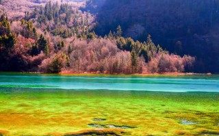 四川话九寨沟旅游攻略，耍得巴适，看得安逸！