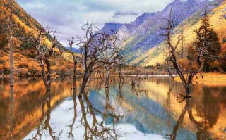 成都旅游攻略烧烤 成都十大烧烤目的地？