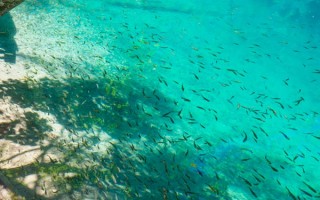 成都出发，3天玩转九寨沟！这份保姆级攻略让你不留遗憾