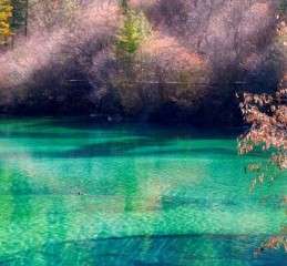 金坛到成都旅游攻略 成都金坛客运站在哪里？