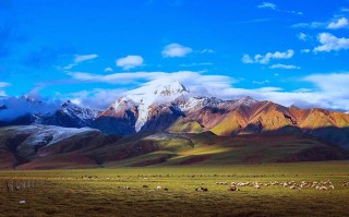 北京出发，一路向西，从成都烟火到九寨童话的治愈之旅