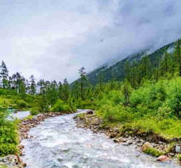 成都旅游攻略哪好玩 成都旅游最佳攻略？