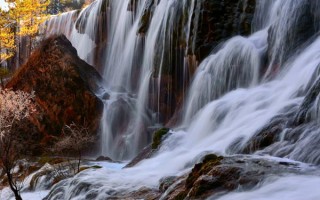 成都旅游攻略评价 成都旅游的攻略？