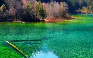 重庆成都旅游线路五日游 重庆成都自由行5日旅游攻略？