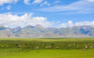 成都旅游线路主题有哪些 成都旅游景点线路？