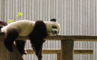 九寨沟三天两夜，在童话与现实间，找回心跳的节奏