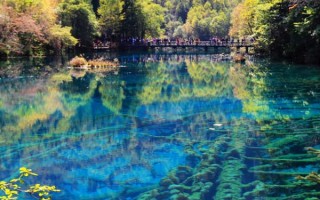 重庆成都旅游攻略红黑榜 成都 重庆旅游？